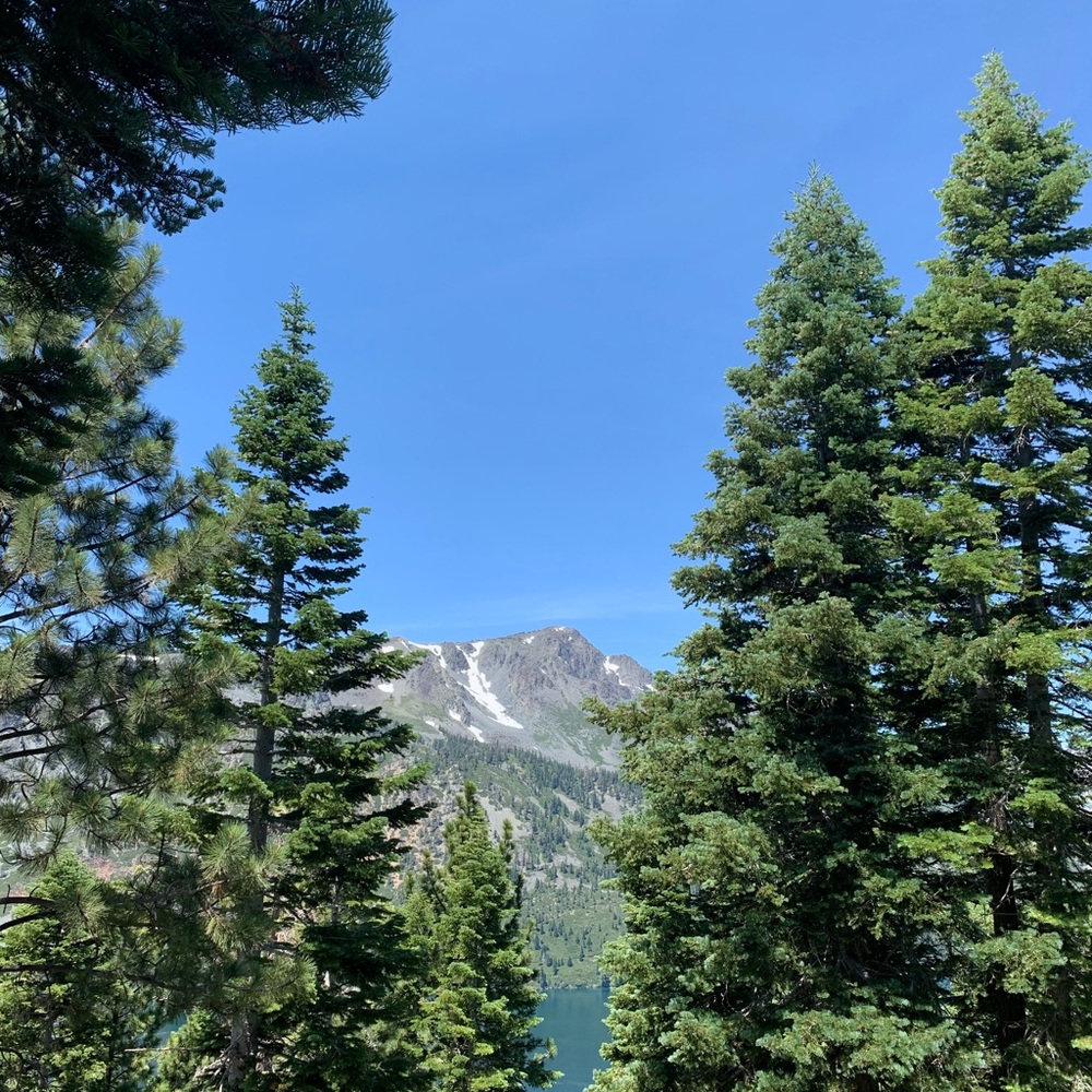 Meet your Posher, Lily